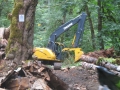 stocking ck cleanup 014.JPG