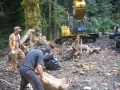 stocking ck cleanup 019.JPG