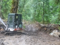 stocking cleanup 031.JPG