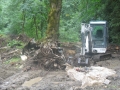stocking cleanup 034.JPG