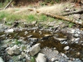re_DSCF0663