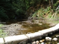 re_DSCF0666