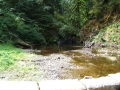re_DSCF0667