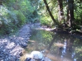 re_DSCF0692