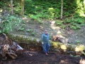 re_stocking_creek_003