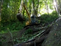 re_stocking_creek_004