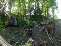 re_stocking_creek_005