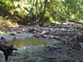 re_stocking_creek_008