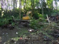 re_stocking_creek_011