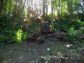 re_stocking_creek_012