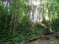 re_stocking_creek_013