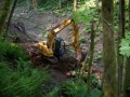 re_stocking_creek_015