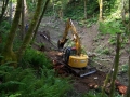 re_stocking_creek_016