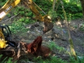 re_stocking_creek_018