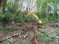 re_stocking_creek_022