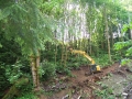 re_stocking_creek_023