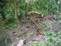 re_stocking_creek_024
