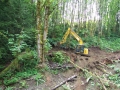 re_stocking_creek_025