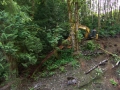 re_stocking_creek_026