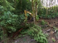 re_stocking_creek_027