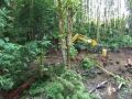 re_stocking_creek_028