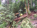 re_stocking_creek_029
