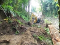re_stocking_creek_035