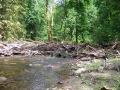 re_stocking_creek_038